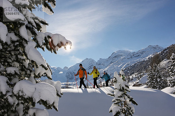 Schneeschuh Winter gelb Mensch rennen blau rot 3 Kanton Graubünden Engadin Oberengadin Schnee Schneeschuhlaufen Sonne Schweiz Wintersport