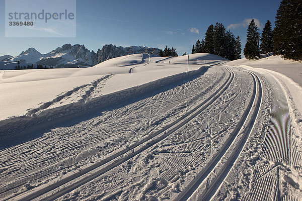 Schweiz  Wintersport  Langlauf  Langlaufloipe  Ski-Langlauf Langlaufloipe  Schnee  Winter  sport