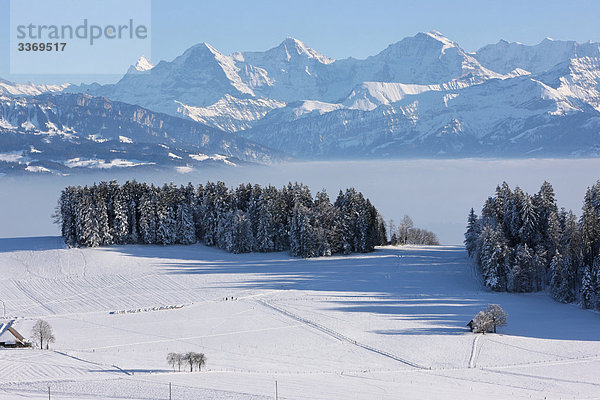 Landschaftlich schön landschaftlich reizvoll Berg Winter Baum Alpen Kanton Bern Schnee Schweiz