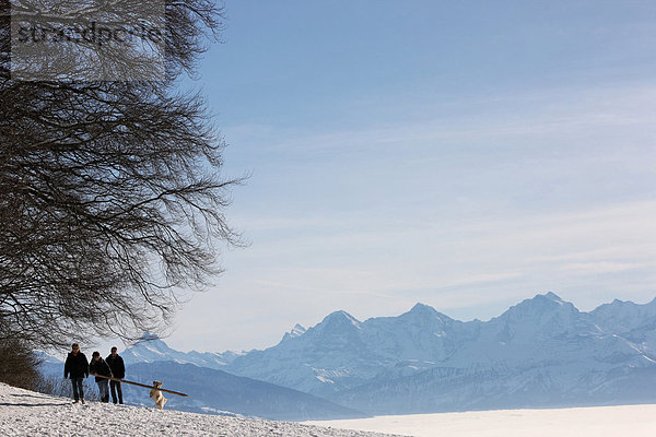 Landschaftlich schön landschaftlich reizvoll Berg Winter gehen Mensch Hund Nebel 3 Eiger Berner Alpen Kanton Bern Mönch Schnee Schweiz Nebelmeer