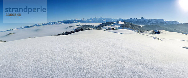 Panorama Landschaftlich schön landschaftlich reizvoll Winter Nebel Schnee Kanton Bern Schweiz Nebelmeer