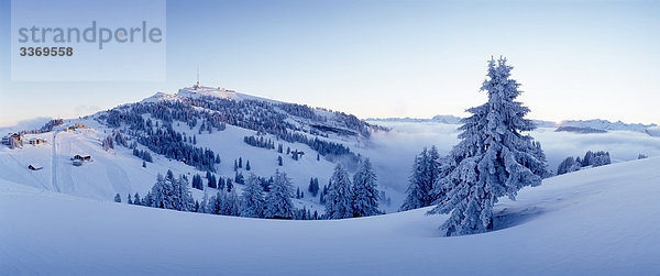 Schweiz  Landschaft  Gebirge  Rigi  Winter  Schnee  Zentralschweiz  Innerschweiz  Panorama  Stimmung