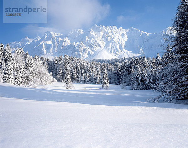 Landschaftlich schön landschaftlich reizvoll Berg Winter Wald Holz Schnee Schweiz