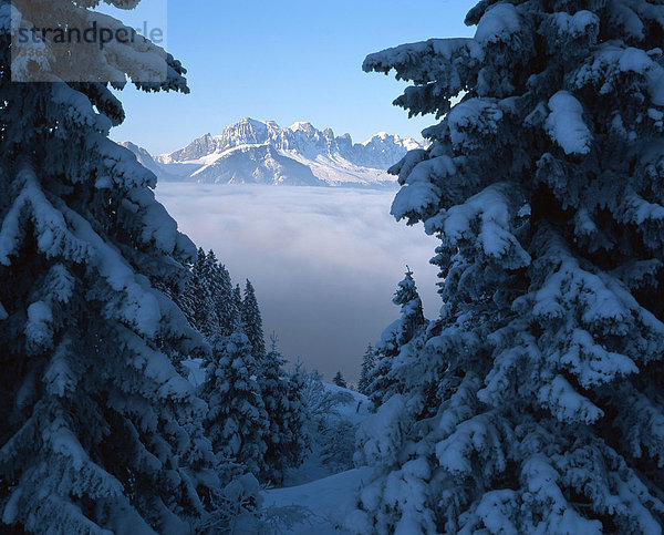 Landschaftlich schön landschaftlich reizvoll Berg Winter Baum Schnee Nebel Schweiz Nebelmeer