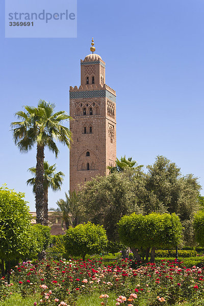 Koutoubia Moschee und Minaret  Marrakesch  Marokko