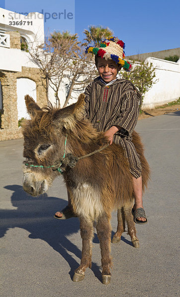 Marokkanische jungen auf einem Esel  Tanger  Marokko