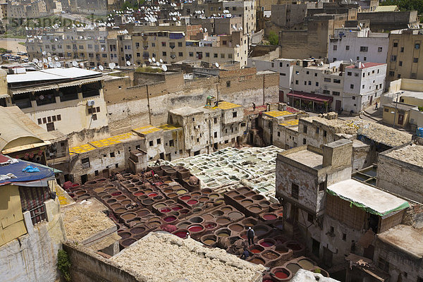 Traditionelle Gerbereien  Fez  Marokko