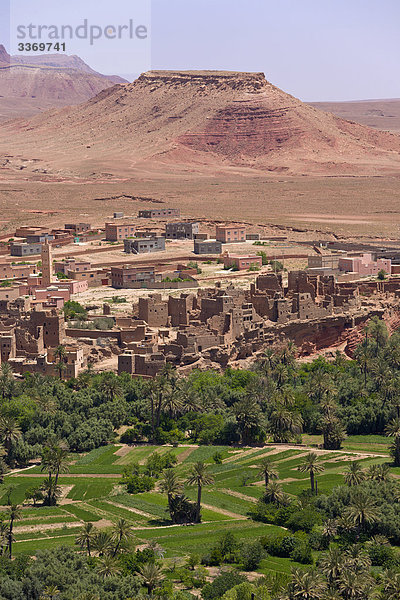 Hochformat Berg Gebäude Landwirtschaft niemand Tal Stadt Dorf Feld Kasbah Marokko Schlamm Oase