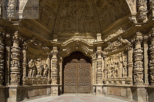 Spanien  Kastilien und Leon  Astorga  Kathedrale  Gate  Tür  Eingang  Detail  Urlaub  Reisen