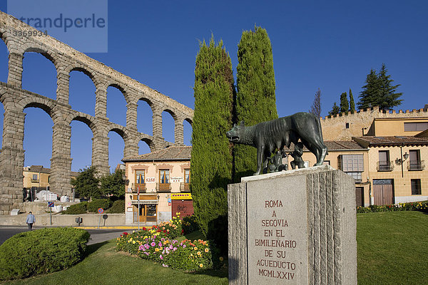 Spanien  Kastilien und Leon  Segovia  Aquädukt  Roman  Ort  Space  Blumen  Statue  Wolf  Urlaub  Reisen