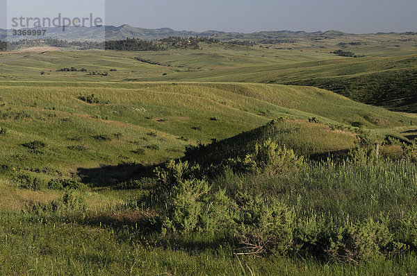 Grasbewachsenen Hügeln  Crow Agentur  Crow-Indianerreservation  Montana  USA