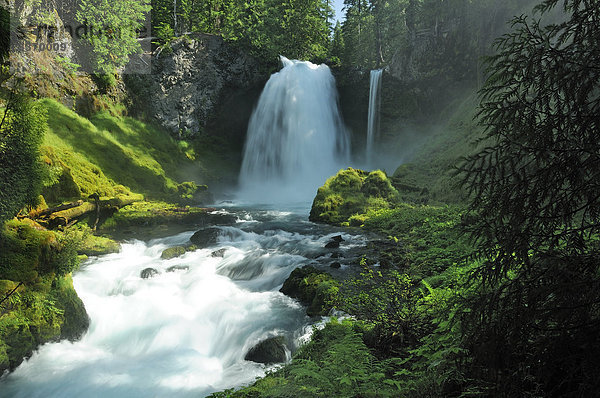 Sahalie Wasserfall  McKenzie River  Willamette National Forest  Oregon  USA