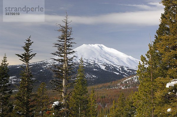 Mount Bachelor mit Schnee  Cascade Mountain Range  Zentral-Oregon  Oregon  USA