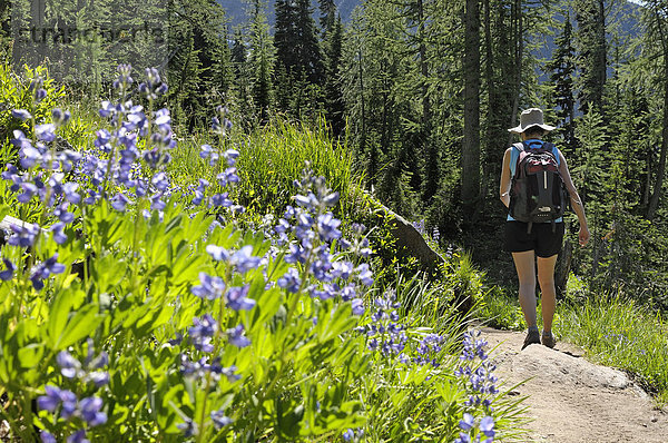 Wanderer auf Blue Lake Trail  North Cascades National Parks  Washington  USA
