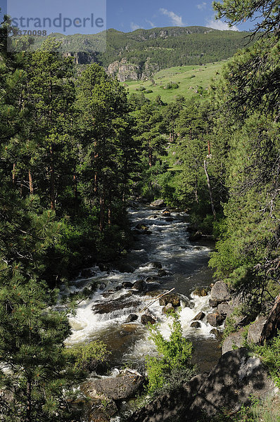 Tongue River Canyon  Dayton  Wyoming  USA