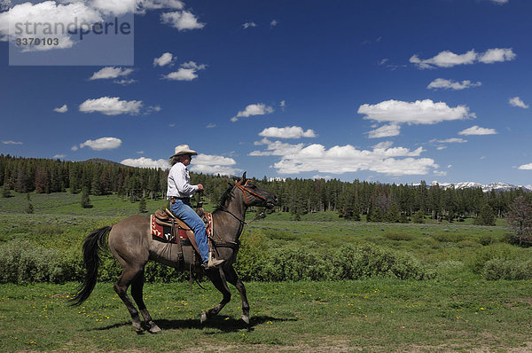 Cowboy zu Pferd  Reiten  fliegen A Ranch  Guest Ranch  Bondurant  Wyoming  USA