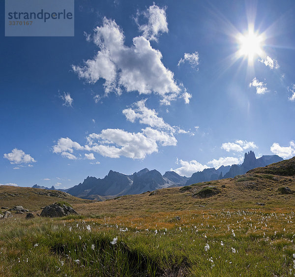 Val De La Clarée  Le Jadis  Brianconnais  Hautes-Alpes  Frankreich  Landschaft  Feld  Wiese  Sommer  Berge  Hügel  Baumwolle Gras  Frankreich