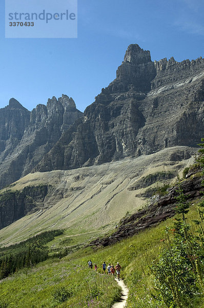 Wanderer  Gletscher  Nationalpark  Eisberg Lake Trail  USA  Montana  Berge  Wiese  Natur  Gruppe