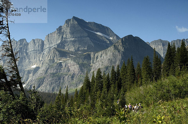 Glacier-Nationalpark  USA  Montana  Natur  Berg  Wiese  Trail