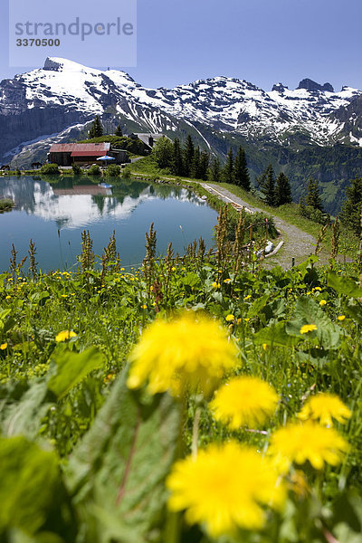 Landschaftlich schön landschaftlich reizvoll Berg Weg Natur Kanton Obwalden Löwenzahn Engelberg Wanderweg Bergsee Bergstation schweizerisch Schweiz Zentralschweiz
