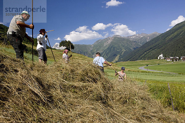 Landschaftlich schön landschaftlich reizvoll arbeiten Landwirtschaft Heu Rechen Landwirtin schweizerisch Schweiz Kanton Wallis