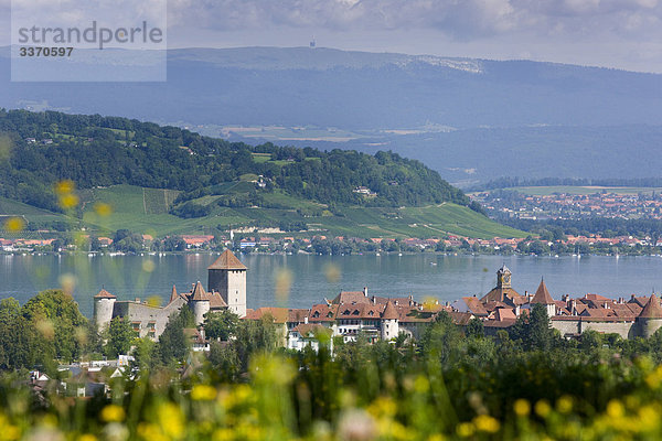 Landschaftlich schön landschaftlich reizvoll Sommer Stadt Großstadt See schweizerisch Schweiz