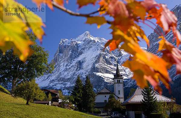 Landschaftlich schön landschaftlich reizvoll Berg Baum Natur Kirche Ast Herbst Eiger Berner Alpen Kanton Bern Grindelwald Stimmung Schnee schweizerisch Schweiz