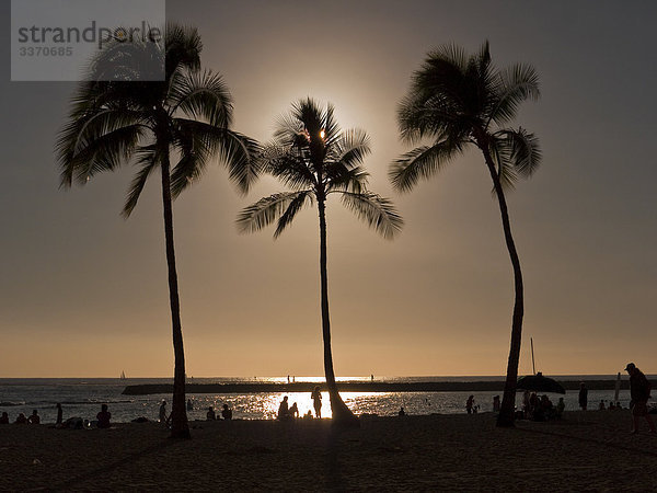 Menschen am Waikiki Beach bei Sonnenuntergang  Honolulu  USA
