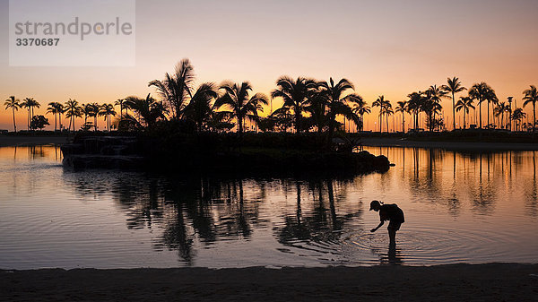 Frau im Wasser stehend bei Sonnenuntergang am Waikiki Beach  Honolulu  USA