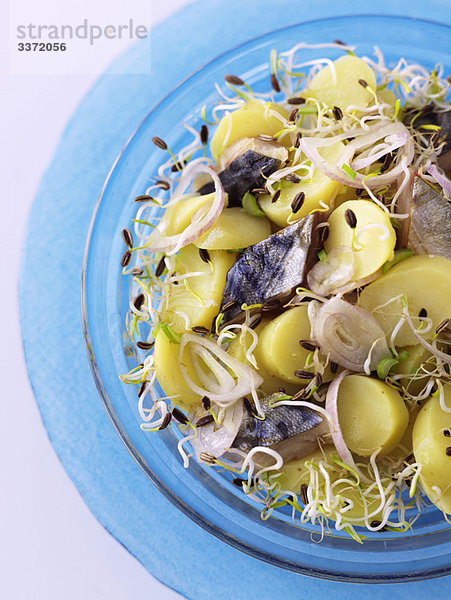 Hörnchen-Kartoffelsalat mit geräuchertem Hering