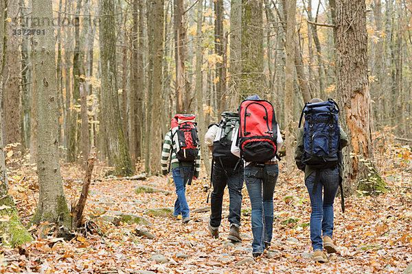 Jugendliche wandern durch den Wald