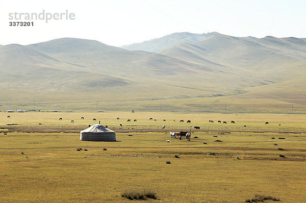 Mongolische Steppenlandschaft