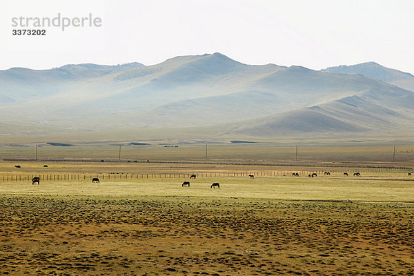 Mongolische Steppenlandschaft