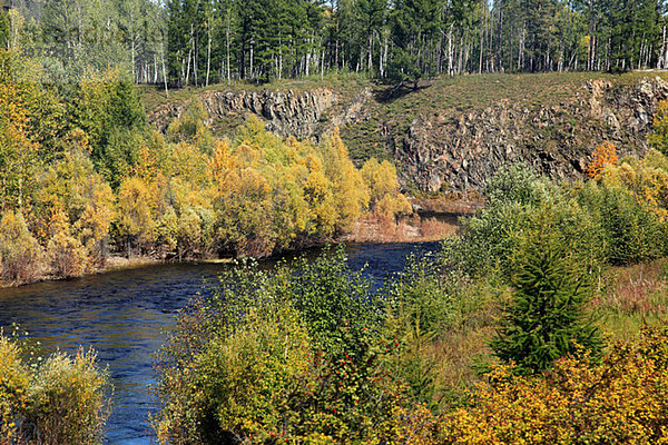 Fluss und Bäume in Sibirien