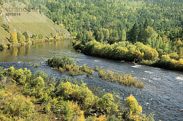 Fluss und Bäume in Sibirien