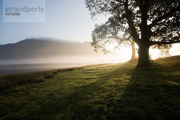 Bassenthwaite Lake  Lake District  Cumbria  England