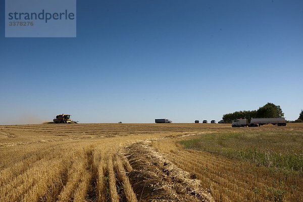 Kombiniert und LKW in Feld Redvers  Saskatchewan  Kanada