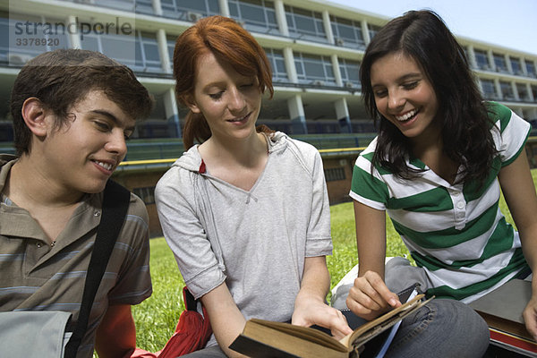 Hoher Schüler zeigt Freunden die Passage im Buch und sitzt zusammen auf dem Schulrasen.