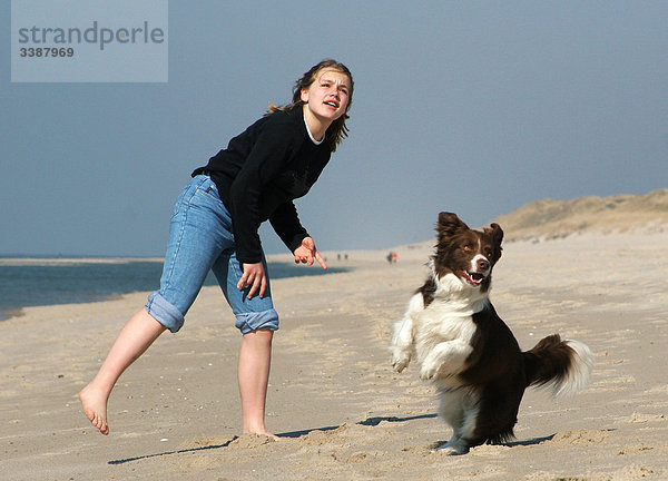 Mädchen spielt mit Border Collie am Strand  Sylt  Deutschland