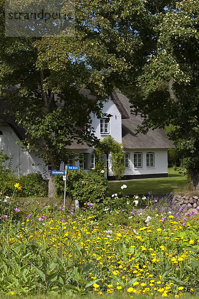 Garten und Reetdachhaus in Keitum  Sylt  Deutschland