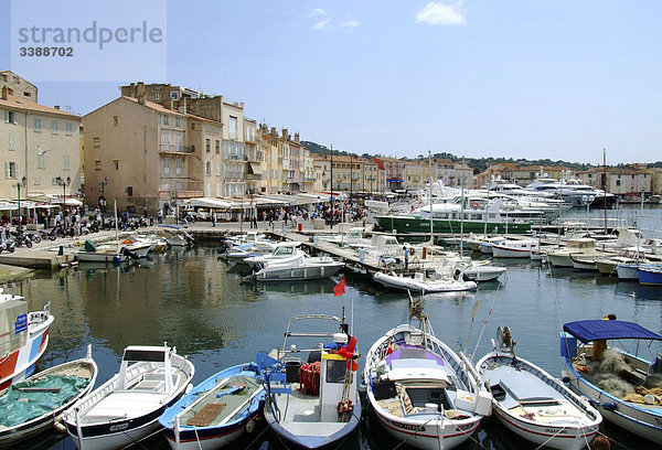Fischerboote im Hafen von St. Tropez  Frankreich  Erhöhte Ansicht