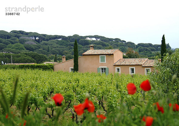 Villa und Weingut  St. Tropez  Frankreich