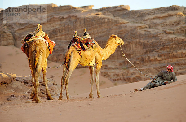 Mann mit zwei Kamelen  Wadi Rum  Jordanien  Asien