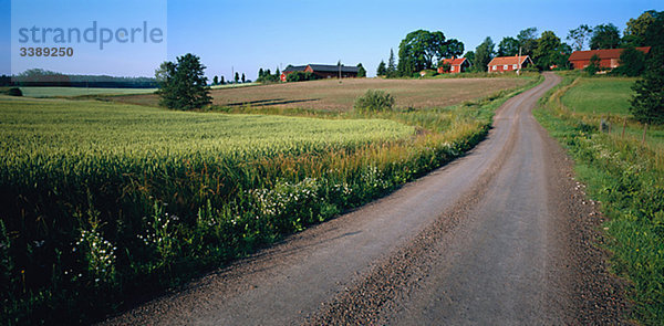 Beschotterte Straße zu einer farm