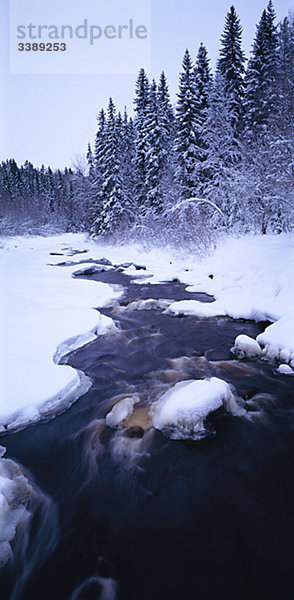Ein kleiner Fluss im vinter