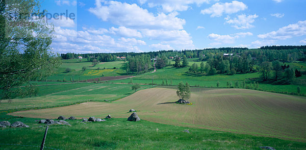 Farmland im Frühjahr