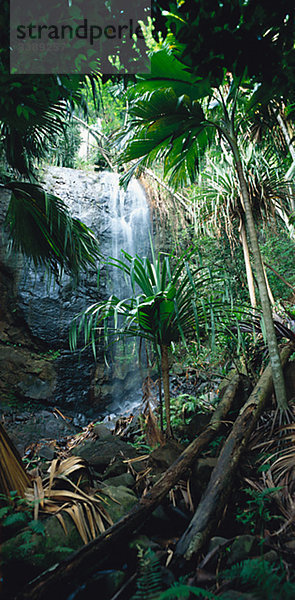 Wasserfall in die djungel