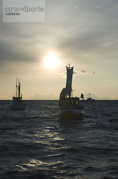 Fischerboote gegen das Licht des morgens  Norwegen.