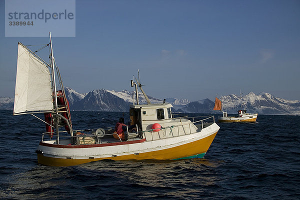 Fischerboote in der Dämmerung  Norwegen.