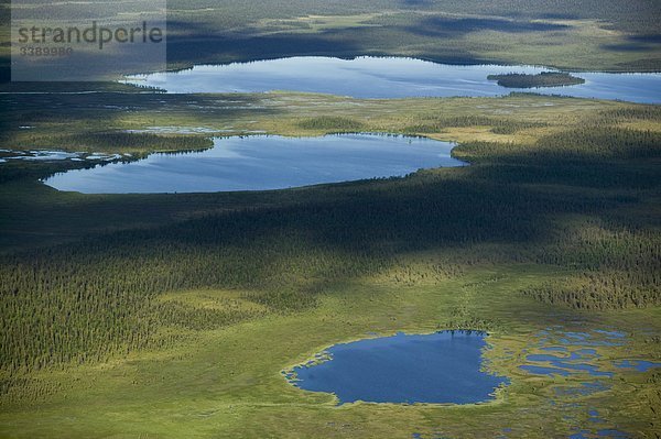 Blick über Seen in einer Waldlandschaft  Schweden.
